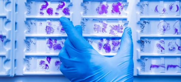 Digital Pathology demonstration