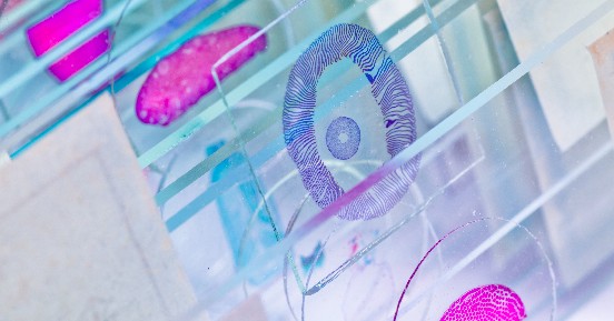 Digital Pathology Fact Sheet