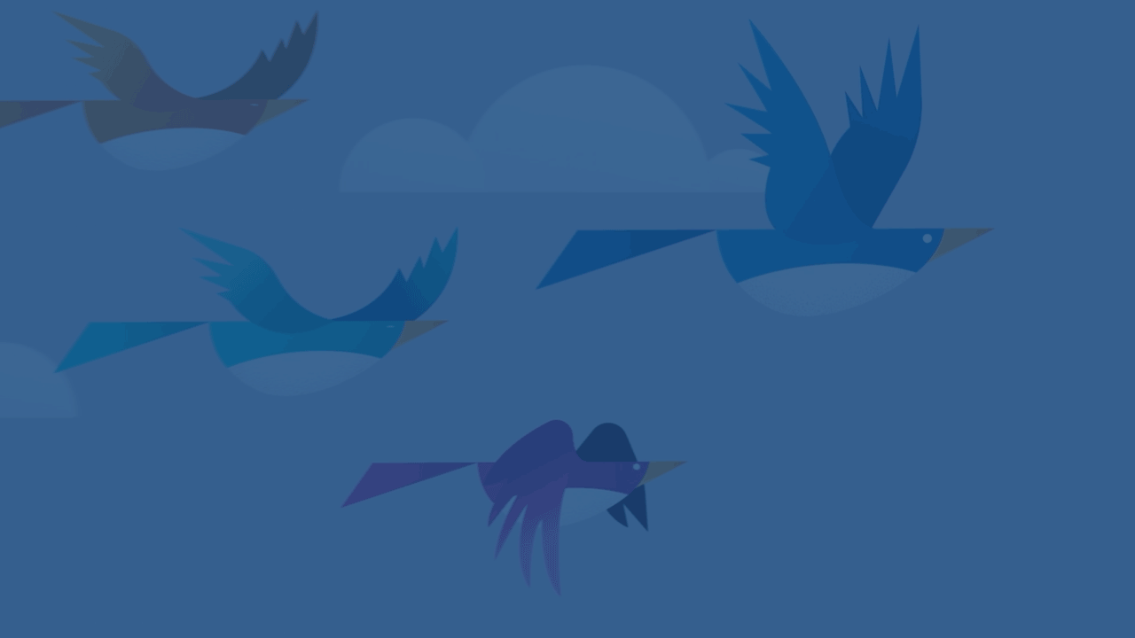 Gif of a bird finding the right computer