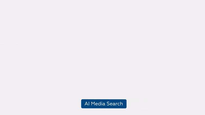 AI search